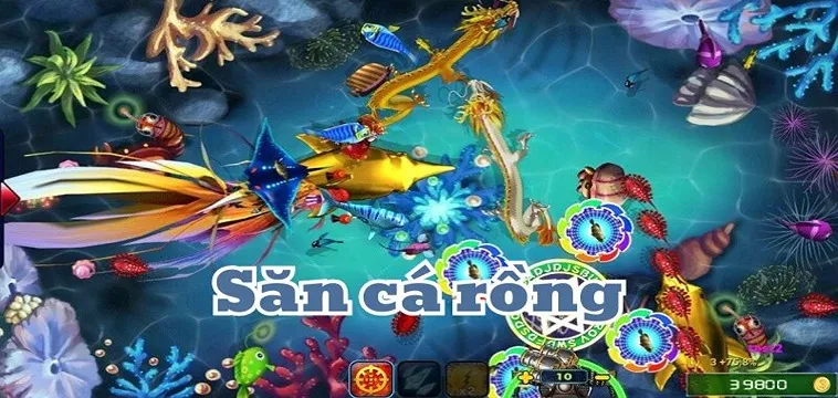 Cách Chơi Bắn Cá Rồng Tại Go88 Cho Người Mới Năm 2026​