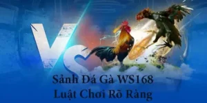 Cách Chơi Đá Gà WS168 Tại Go88 Dành Cho Người Mới Năm 2026​