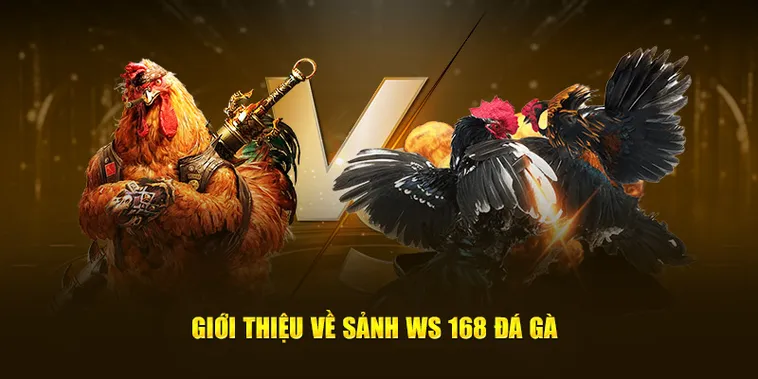 Cách Chơi Đá Gà WS168 Tại Go88 Dành Cho Người Mới Năm 2026​